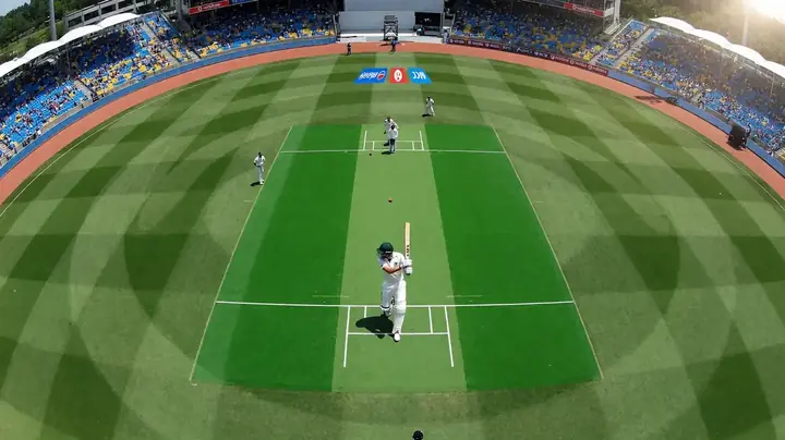 Cricket umpire raising the finger for an LBW decision